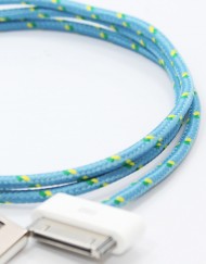 Eastern Collective 30 Pin Cable